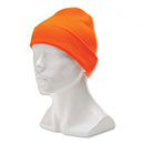 Knit Hat with Thinsulate